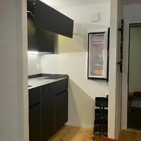 Modern Kompakt Speer By Interhome Daire