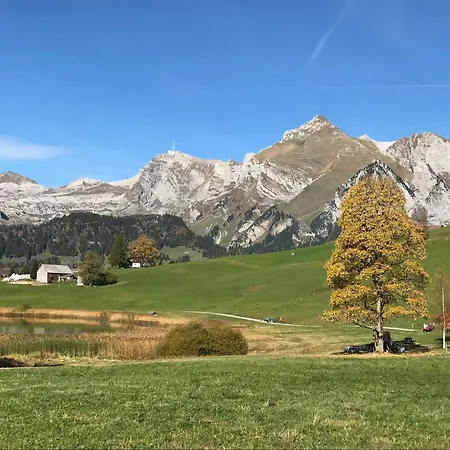 Modern Kompakt Speer By Interhome Apartment Alt St. Johann