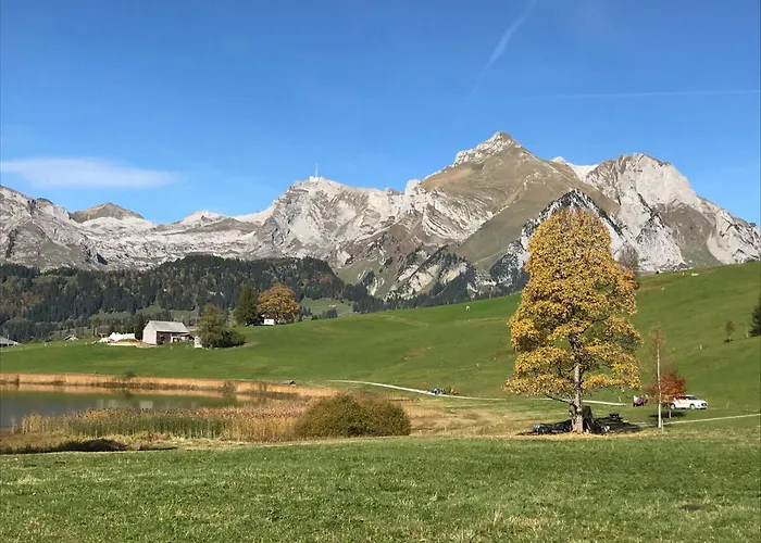 Modern Kompakt Speer By Interhome Apartment Alt St. Johann